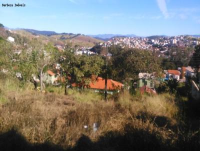 imagem-miniatura