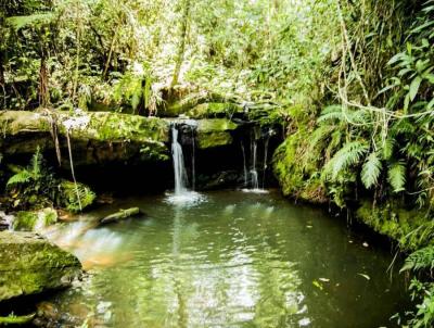 Fazenda para Venda, em Cruzlia, bairro -