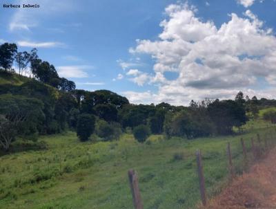 Chcara para Venda, em Dom Vioso, bairro Rural