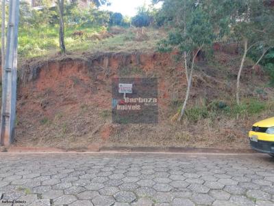 imagem-miniatura