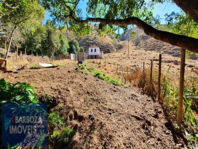 rea Rural para Venda, em Pouso Alto, bairro Matinho, 1 dormitrio, 1 banheiro