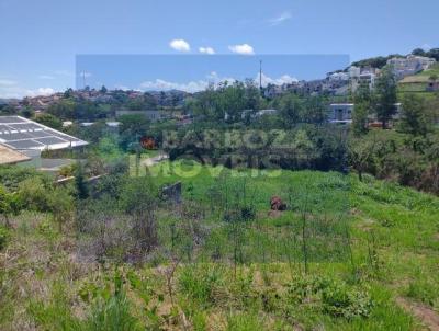 imagem-miniatura