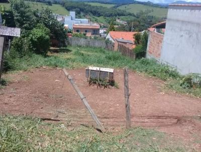 imagem-miniatura