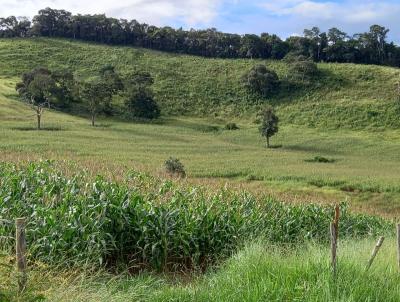 Fazenda para Venda, em Baependi, bairro -