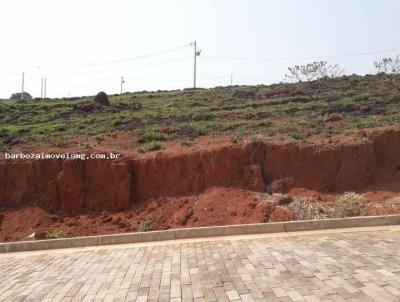 Terreno em Condomnio para Venda, em Carmo de Minas, bairro Ville Bourbon