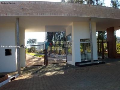 imagem-miniatura