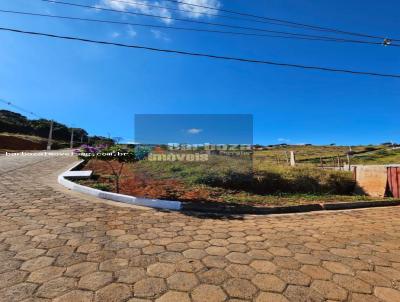 imagem-miniatura