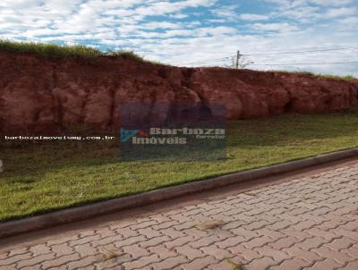 imagem-miniatura