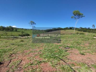 Stio para Venda, em Dom Vioso, bairro Bocaina