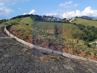 Terreno para Venda, em Carmo de Minas, bairro SO GABRIEL