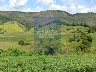 S�tio para Venda, em Tr�s Cora��es, bairro -