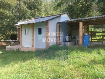 �rea Rural para Venda, em S�o Louren�o, bairro Porto de Areia