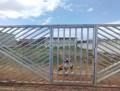 Terreno para Venda, em S�o Louren�o, bairro Esta��o