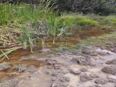 S�tio para Venda, em Carmo de Minas, bairro Capinzal